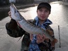 Mariusz